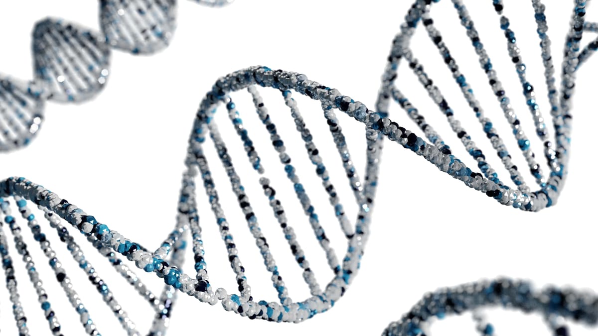 Why You Should Get the DNA Methylation GrimAge Version 2 Test