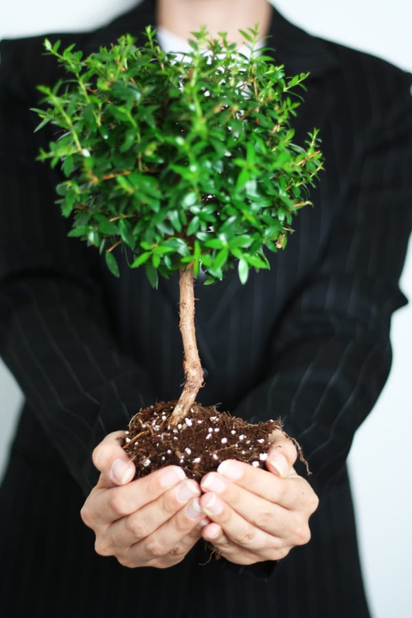 Achieving Longevity Through a Personalized Health Journey
